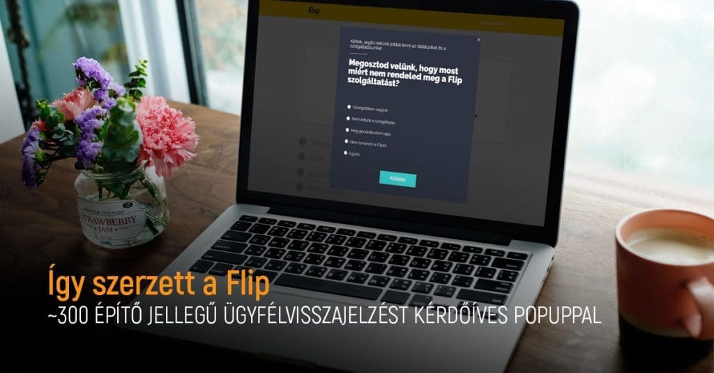 flip esettanulmány