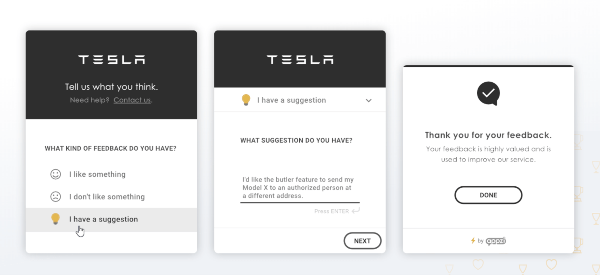 website feedback example Tesla